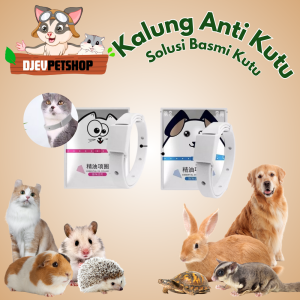 DJEVPETSHOP Kalung Anti Kutu Anjing Kucing Atasi Kutu Tungau Parasit Penggangu Hewan Aksesoris Leher