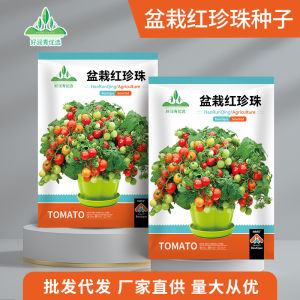 Source Factory Vegetable Seed Collection: Vegetables for All Seasons Spring Summer Autumn - Tomato Pepper Watermelon Cucumber Seeds