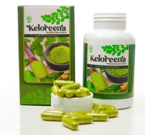 Obat Sakit Perut Sebelah Kiri Penyakit Infeksi Ginjal Radang GinjalSakit Pinggang Gastritis Pneumonia Usus Buntu Endometrosis Ovulasi dengan Keloreena Esktrak Daun Kelor