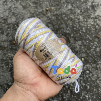 Sợi Simply Recycled Cotton màu loang - Cuộn 150g Craft Yarn
