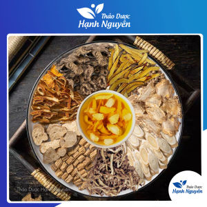 Bổ trung ích khí thang 3 thang chia sẵn rất tốt cho người tỳ vị hư hàn chân tay lạnh - Thảo Dược Hạnh Nguyên