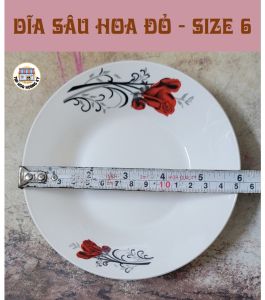 BỘ 10 DĨA TRÒN SÂU GỐM SỨ HỌA TIẾT HOA ĐỎ - SIZE 6/7/8