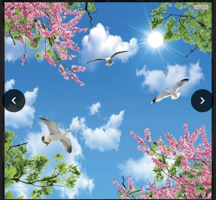 tranh%20d%C3%A1n%20tr%E1%BA%A7n%20nh%C3%A0%203D%20in%20V%E1%BA%A3i%20L%E1%BB%A5a%20-%20Image%202