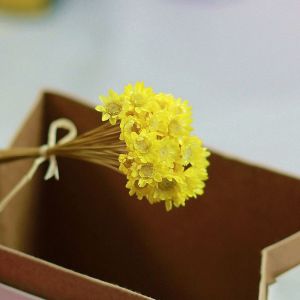 BUSH 30PCS Home Photo Props Epoxy Resin Chrysanthemum Flower Mini Brazil Star Preserved Flowers Real Flower Dry Flowers Natural Artificial flowerss Bouquets