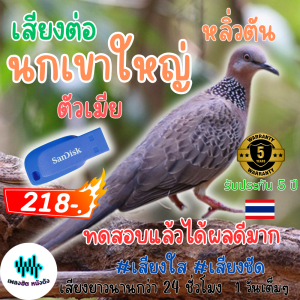 ส่งด่วน USB ยี่ห้อ Sandisk เสียงต่อนกเขาใหญ่ หลิ่วตัน ตัวเมีย เสียงนี้ทดสอบแล้ว ได้ผลดี เสียงยาว 25 ชม.