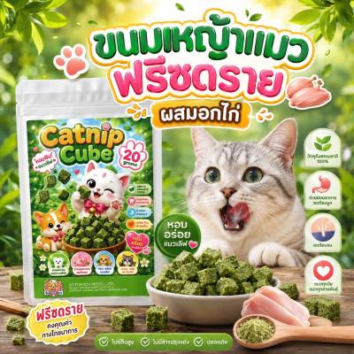 Boqi Factory ขนมหญ้าแมว ฟรีซดราย ผลิตจากต้นอ่อนข้าวสาลี ผส