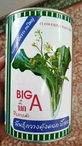 เมล็ดพันธุ์ ผักกาดกวางตู้ กวางตู้ดอกต้นขาว บิ๊กเอ Big A (80 กรัม) เมล็ดกวางตู้ดอก ราคา 89-135 บาท