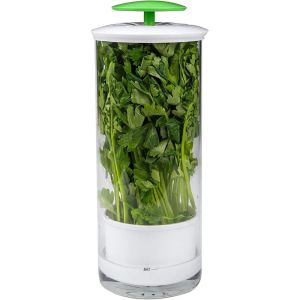 BECOME Dust-proof Longer Fresh Herb Keeper Anti-pressure Transparent Herb Saver Creative Environmental Vegetables Preservation Bottle Refrigerator