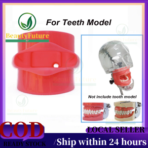 【Ready Stock】Dental Model Phantom Head Tooth Model Silicone Teaching or Training Student Practicing