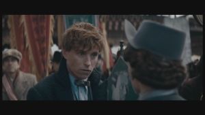 DVD Fantastic Beasts 1/2 Collection -t3660