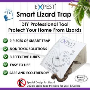 9 Pcs Lizard (Cicak) Sticky Trap / DIY Lizard Killer