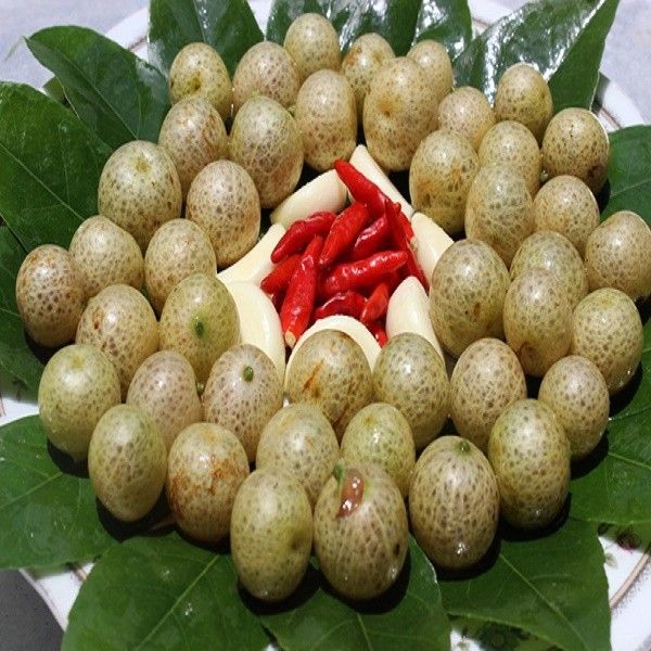 C%C3%82Y%20M%E1%BA%AEC%20M%E1%BA%ACT%20GI%E1%BB%90NG%20(C%C3%82Y%20M%C3%93C%20M%E1%BA%ACT)%20-%20Image%206