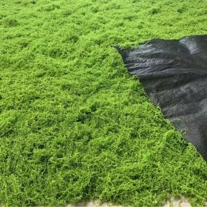 1pc Artificial Moss Landscape Bionic Lawn False Moss Micro Landscape Layout Lawn Bonsai Pottery Paving Landscape Outdoor Indoor