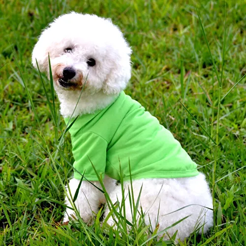 1pc Cute Pet Polo T-Shirt Shirt Clothes Costume Apparel Candy