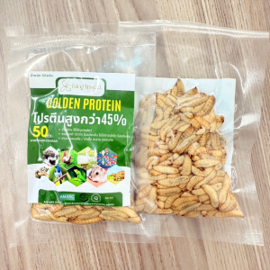 หนอน BSF สเตอไรส์ฆ่าเชื้อ100% ไม่ต้องถ่ายพยาธิ ดีกว่า หนอนแช่แข็ง ไม่ต้องแช่เย็น ฉีกซองให้เลย สะดวกพกพาขนาด 50 กรัม