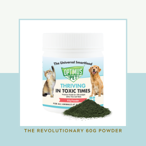 OPTIMUS PET THE REVOLUTIONARY 60G POWDER