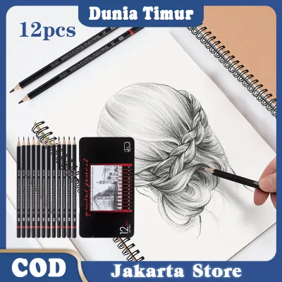 12Pcs Pensil Gambar Sketsa Lengkap 2H H F B HB 2B 3B 4B 5B 6B 7B 8B Charcoal Pensil Sketsa Setgfwe