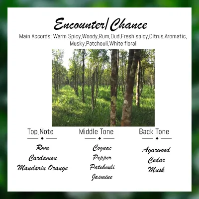 Elegant Handcrafted Natural Reed Diffuser - Fresh Scent 120ml by Local Seller
