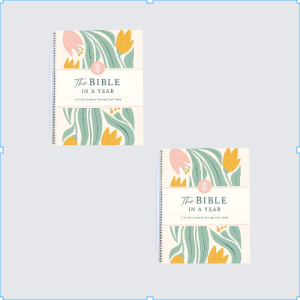 My First Bible Stories The Bible In 52 Weeks A Yearlong Bible Study Spiral Bible Study Guide Guide With Suggested Reading Biblical Work PaperBook圣经书 52周学习指南