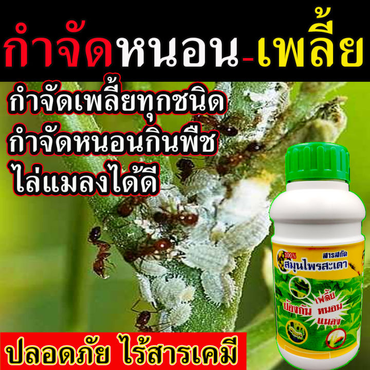 น้ำสะเดา สารกำจัดเพลี้ยและหนอน 500cc ปลอดภัยไร้สารเคมี