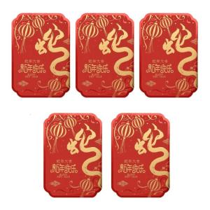5pcs New Year Blessing Cards 2025 Year Of The Snake Handwritten Greeting Cards Spring Festival Celebration Supplies