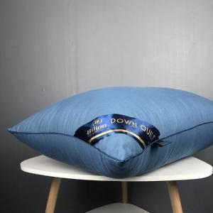 1Kg/1000g+- Sleeping Pillow Bantal Tidur Bantal Hotel Hotel Pillow 1PCS枕头