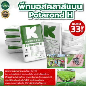 คลาสแมนแท้ ดินเพาะ ดินปลูก ดินปลูก ดินรองก้นหลุม พีทมอส คลาสแมน  ดินเพาะนำเข้าจากเยอรมัน ขนาดบรรจุ 33 ลิตร