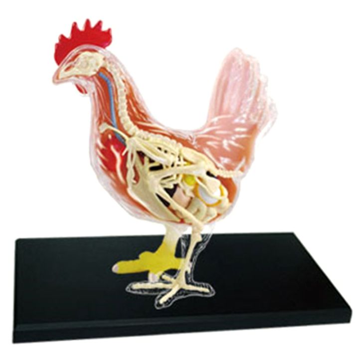 4D MASTER Animal Puzzle Cow Toys veterinary Anatomical Models Detachable DIY Children Gifts Educational Tool School Used 26100