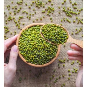 Kacang Hijau 1 Kg Murah Kacang Ijo Kacang Hijau Import Kacang Ijo Mentah Kacang Hijau Super