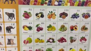 LZD  Silent Hanging Chart Infant Early Education Enlightenment Cognitive Puzzle Toys   Baby Picture Literacy Wall Stickers