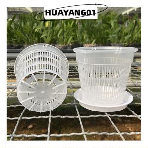 HUAYANG01 [2023 new HOT FASHION] 11 14cm Mesh Pot Root Control Transparent Flowerpot For Orchid Flower Breathable Growth Container Garden Plastic Flower Pot