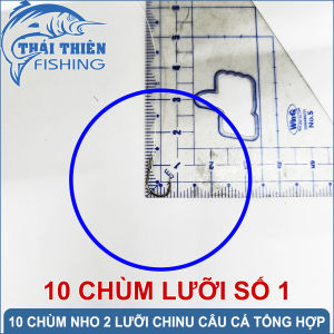 Combo 10 Chùm Nho 2 Lưỡi Chinu Dùng Câu Chép Rô Phi Tra Trê Chim