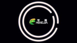 5 cái nhựa nhân tạo mồi cứng thính nhử cá Chép Cá mồi cứng mồi cứng topwaters mồi giả swimbaits