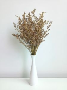 แคสเปียร์ ดอกไม้แห้ง ตกแต่ง พร้อพถ่ายรูป ของแต่งบ้าน ดอกไม้ปักแจกัน