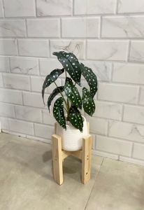 ต้นบีโกเนีย สูง 45 ซม. ต้นไม้ปลอมตกแต่งบ้าน Leeartplants