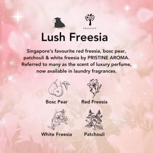 Kapsa 10-in-1 Laundry Capsule – with Himalayan Tea | Lush Freesia | Santal Noir Fragrance Softener