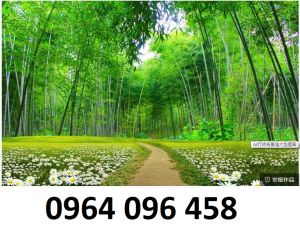Tranh 3d tre trúc - gạch tranh ốp tường 3d tre trúc - CMNN05