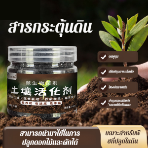 สารกระตุ้นดินเพื่อกระตุ้นความมีชีวิตชีวาของพืช 7 วัน/ธาตุอาหารในดินเพื่อเพิ่มผลผลิตและเสริมสร้างต้นกล้าให้แข็งแรง