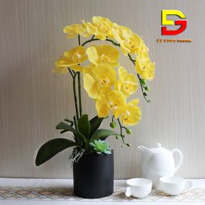 Hoa Lan Hồ Điệp Cao Su Cao Cấp Sang Trọng Chậu Hoa Để Bàn Phòng Khách Trang Trí Nhà Cửa Hoa Giả Hoa Trang Trí DC-22