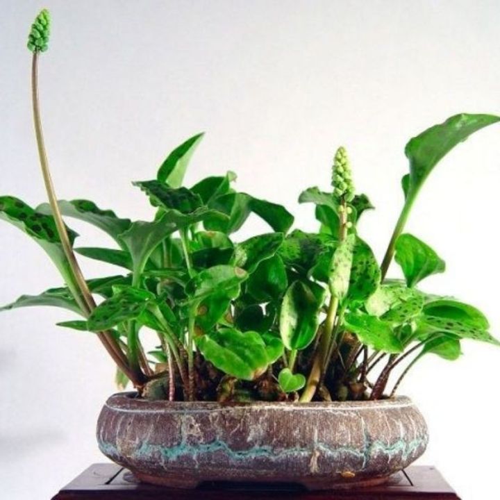 Oyoq porno Notanish odam bilan virtual jinsiy aloqa