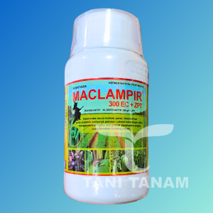 MACLAMPIR 300 EC + ZPT 250 ML INSEKTISIDA PENGENDALI HAMA // MAKLAMPIR INSEKTISIDA
