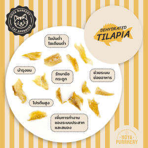 ปลานิลอบแห้ง ขนมน้องแมว Hoya Purrkery จากธรรมชาติ 100%