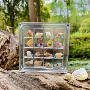 OUREAL Acrylic Seashell Display Box with s Durable Seashell Storage Box  16-Grid Starfishs Trinket Storage Case Bead Nail Jewelry Chic Gife