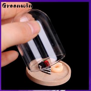 【Greenwind】 1:12 Dollhouse Miniature Decor Flower Display Glass Display Bell Jar with Base