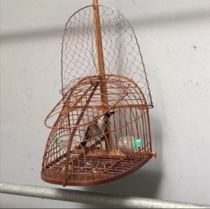 Lồng bẫy chim chào mào chích chòe khướu mi siêu nhạy. Khung gỗ nan tre già.