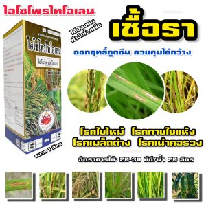 ไอโซโพรไทโอเลน 1L. สารเดียวกับ ฟูจิวัน ฟูจิ-วัน สารป้องกันกำจัดโรคพืช เชื้อราโรคพืช โรคใบไหม้ เมล็ดด่าง กาบใบแห้ง เมล็ดกระถิน ตราปูระฆัง
