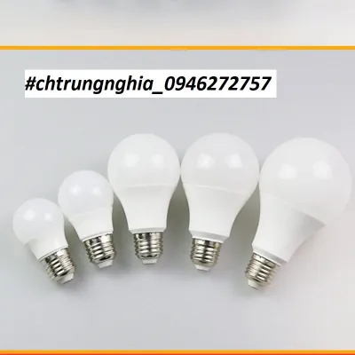 Đèn LED BULB trang trí ngoài trời kín nước 3W 5W 7W 9W Trắng / Vàng