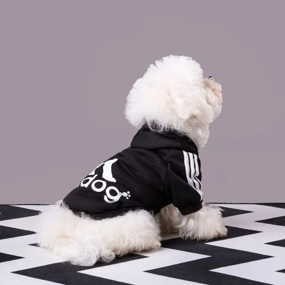 Adidas jacket for top dogs