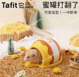 Hamster Spilled hideout Tafit Honeypot Hideout