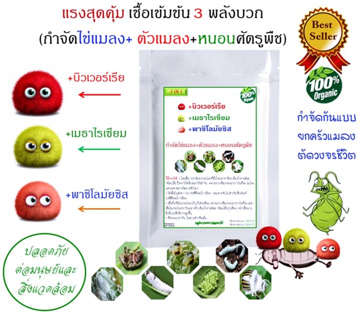 3in1 บิวเวอร์เรีย เมธาไรเซียม พาซิโลมัย กำจัดแมลงครบวงจร